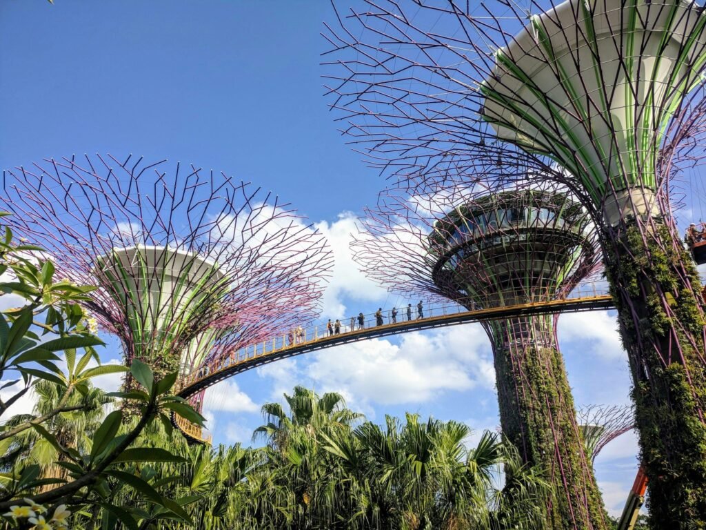 The Supertree Grove at Gardens by the Bay, Singapore