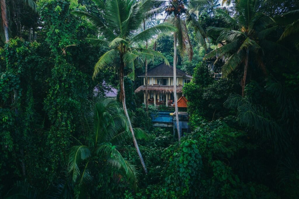 A villa in the jungle outside Ubud, Bali